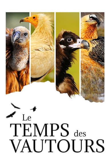 Le Temps des vautours poster