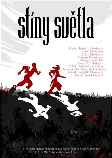 Stíny světla poster