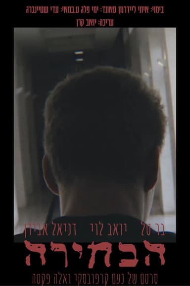 The Choice poster