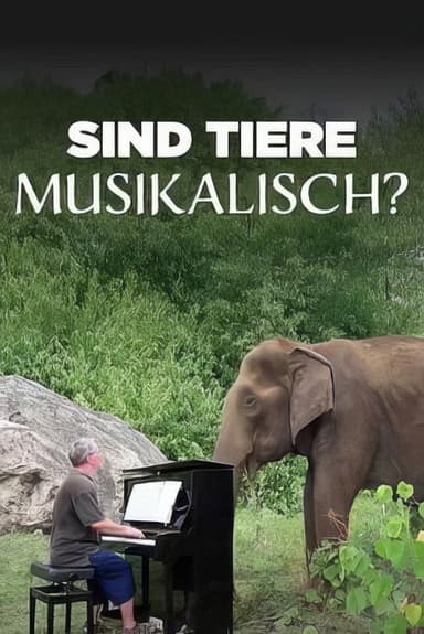 The musical animal poster