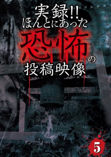 Actual Record! Real Horror Posted Video 5 poster