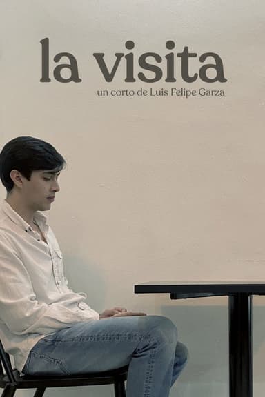 La Visita poster