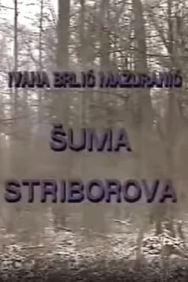 Stribor's Forest poster