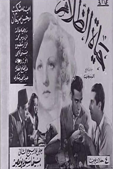 The Life of Darkness poster