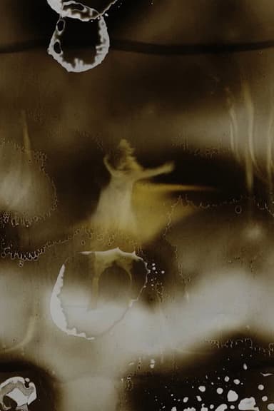 Wild Girl poster