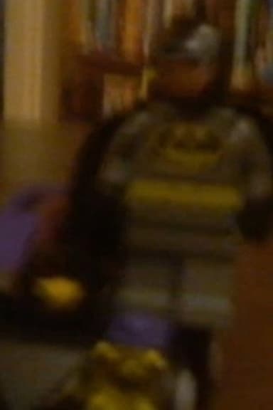 Lego batman saves the day poster