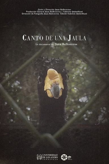 Canto de una jaula poster