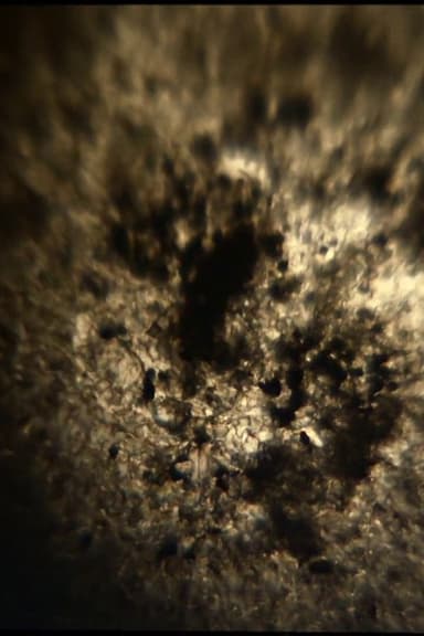 Granular poster