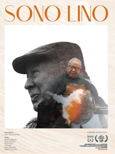 Sono Lino poster
