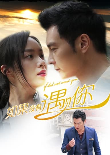 如果没有遇见你 poster
