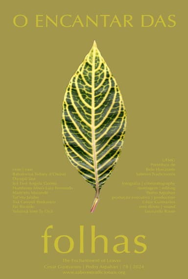 O Encantar das Folhas poster