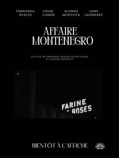 The Montenegro Affair poster