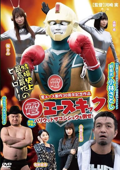 Den Ace Kick poster