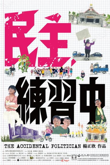 The Accidental Politician poster