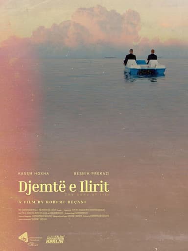The Sons of Ilir poster
