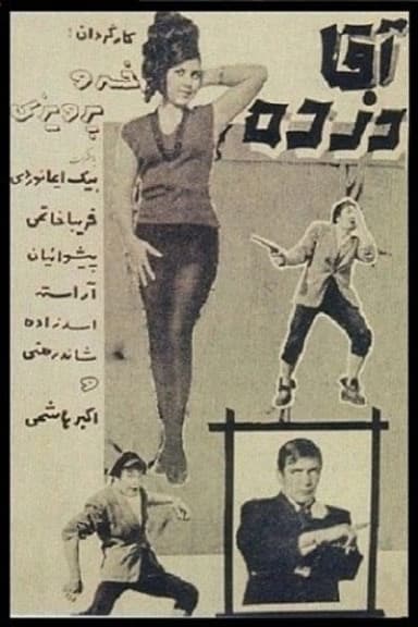 Mr. Thief poster