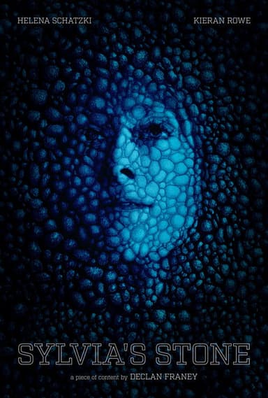 Sylvia's Stone poster