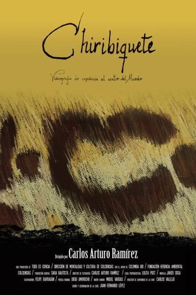 Chiribiquete poster