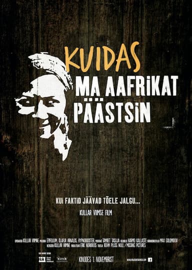 How I Saved Africa poster