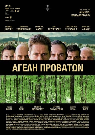 Pack of Sheep poster