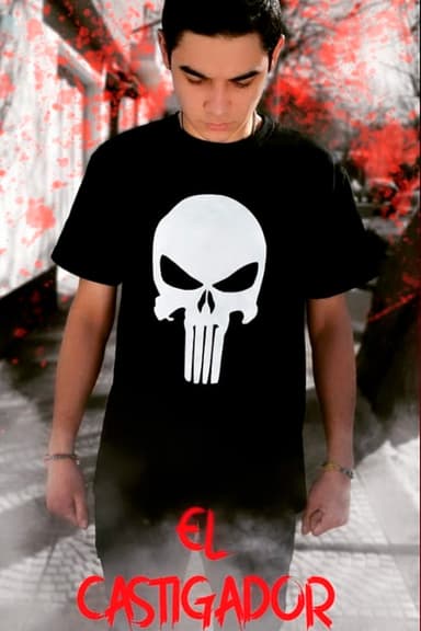 The Punisher poster