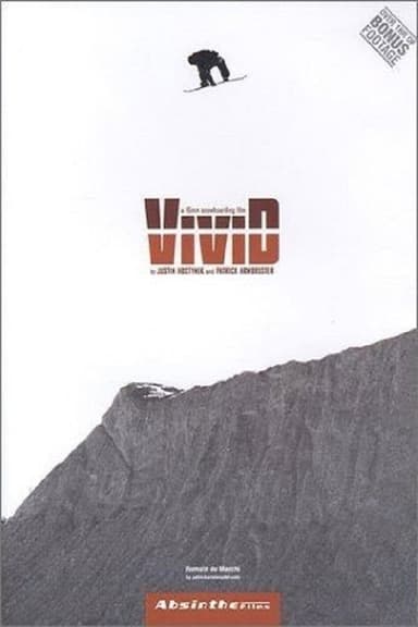 Vivid snowboarding poster