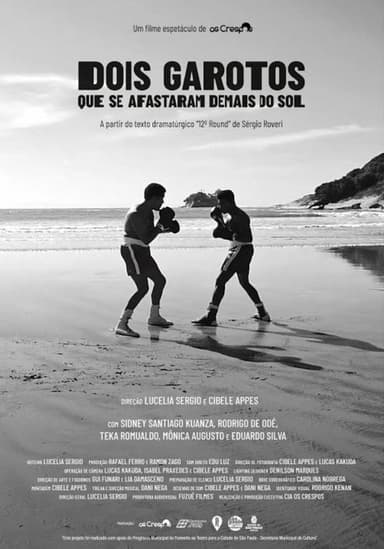 Dois Garotos Que Se Afastaram Demais do Sol poster