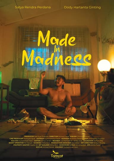 Made in Madness poster