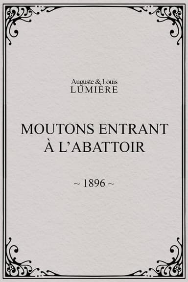 Moutons entrant à l'abattoir poster