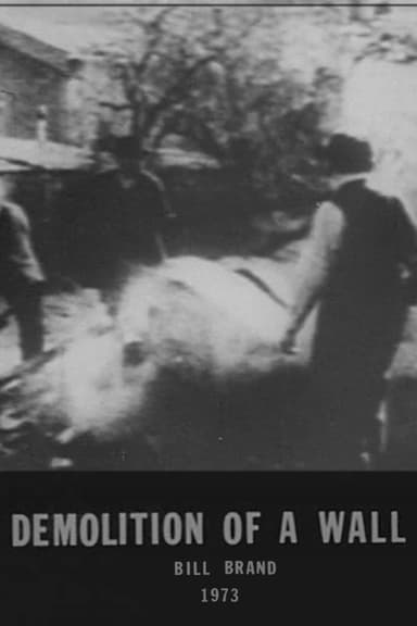 Demolition of a Wall poster