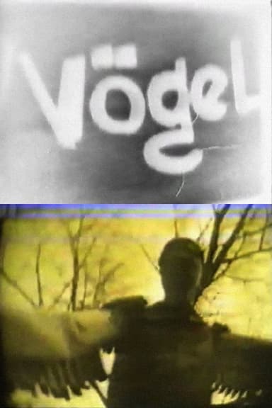 Vögel poster