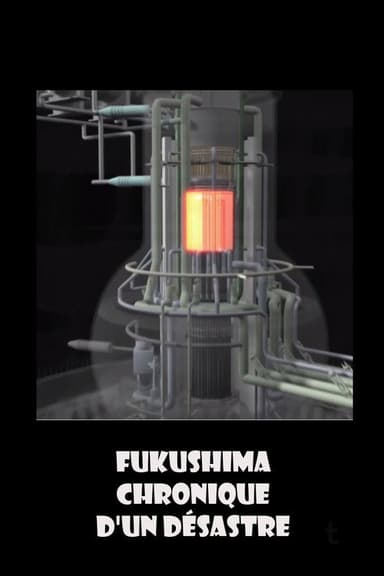 Fukushima, chronique d'un désastre poster