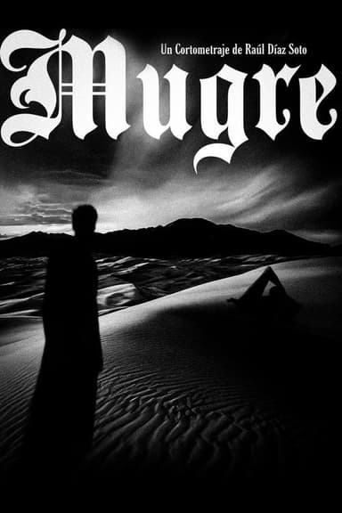 Dirt poster