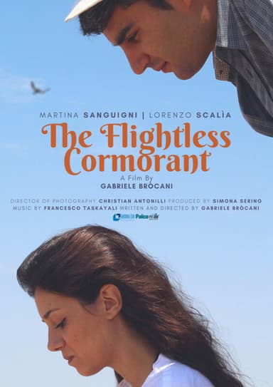 Mara dei Cormorani poster