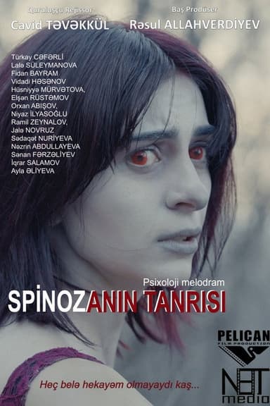 Spinoza's God poster