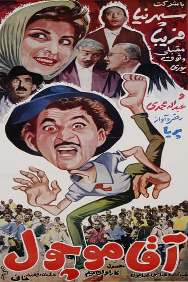 Mr. Moochool poster