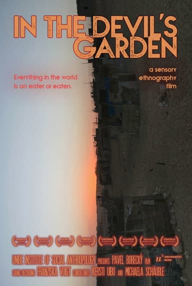 In the Devil's garden poster