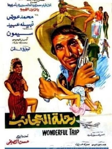 Wonderful Trip poster