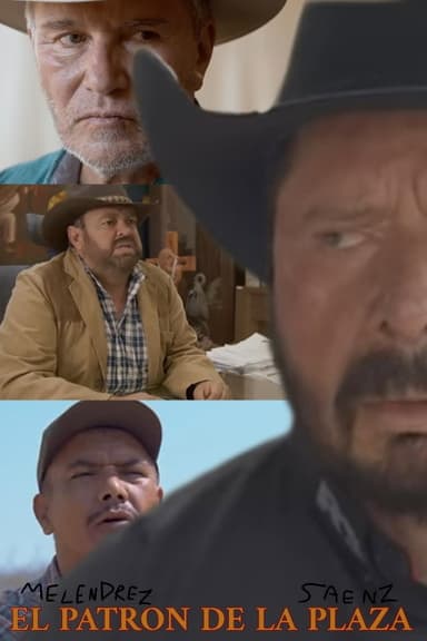El Patron De La Plaza poster