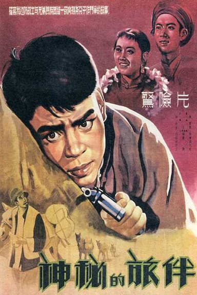 Mysterious Travelling Companion poster