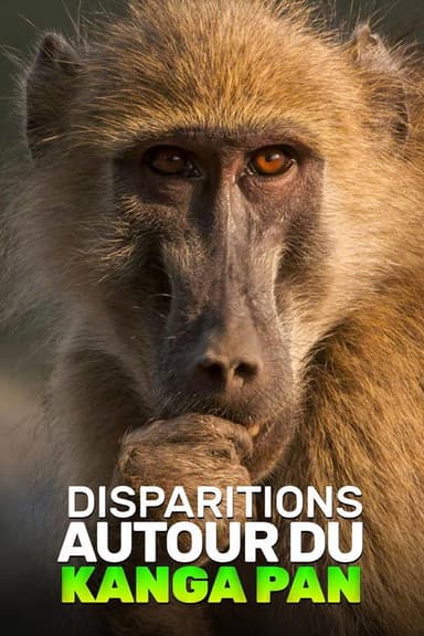 Disparitions autour du Kanga Pan poster
