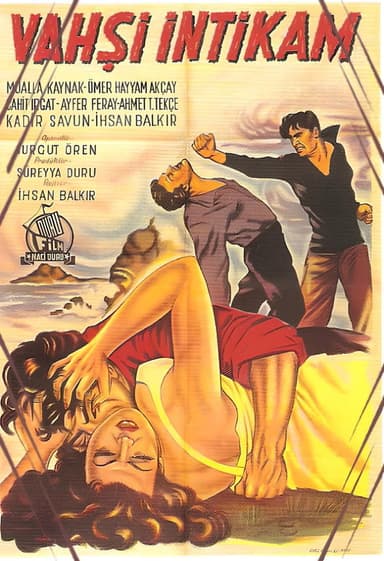 Vahşi İntikam poster
