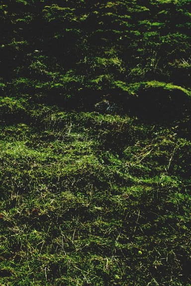 Untitled / Aubrac poster