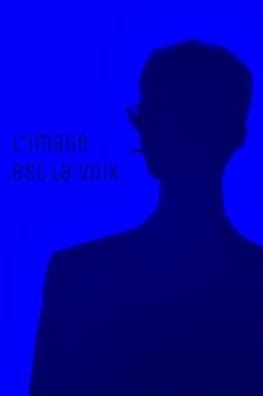 The image is the voice poster
