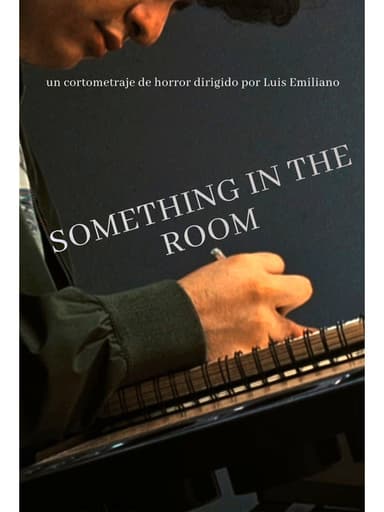 Something In The Room poster