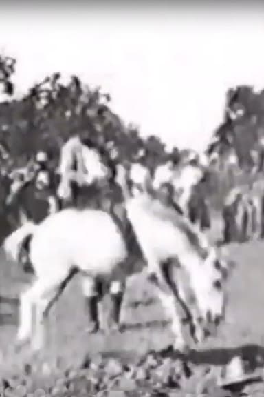 Cavalier sur un cheval rétif poster