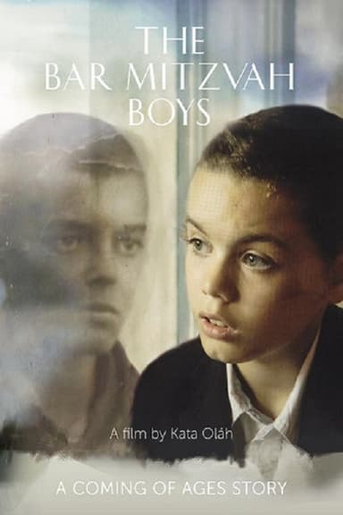 The Bar Mitzvah Boys poster
