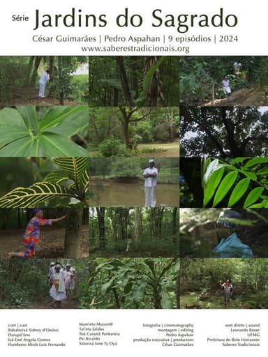 A Ecologia dos Orixás poster