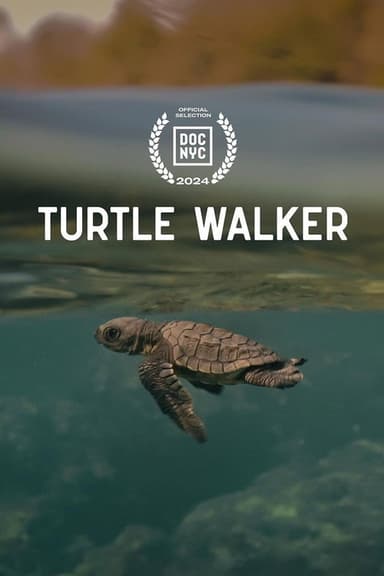 Turtle Walker poster
