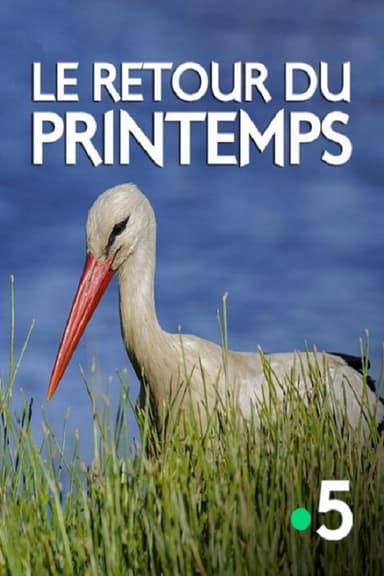 Le retour du printemps poster